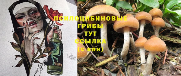 бошки Богородск