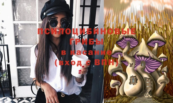 первитин Богданович