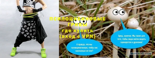 первитин Богданович